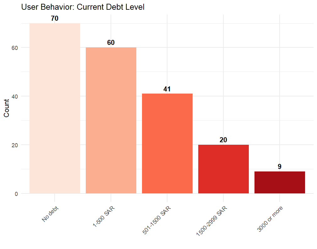 Debt